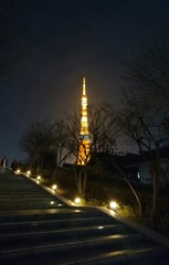 春の宵 東京タワー