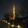 春の宵 東京タワー
