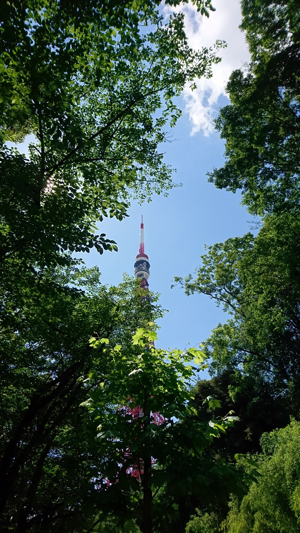 緑の東京タワー