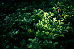 L1050830