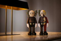 KAWS Companion