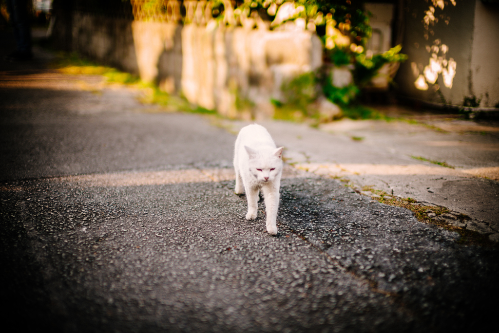 偶遇