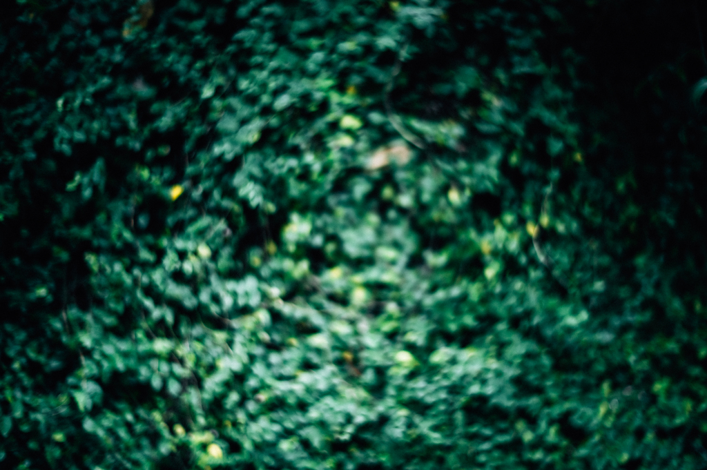 L1000994