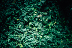 L1000994