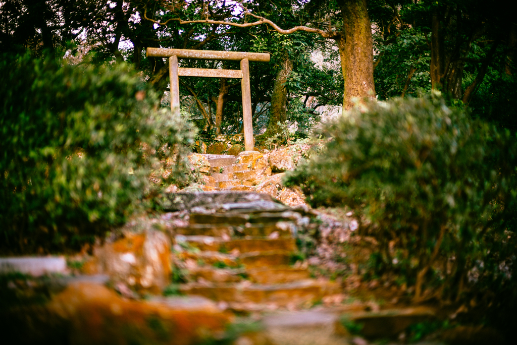 台北市陽明公園 鳥居