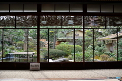 相国寺塔頭養源院庭園