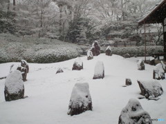 東福寺光明院　雪景色