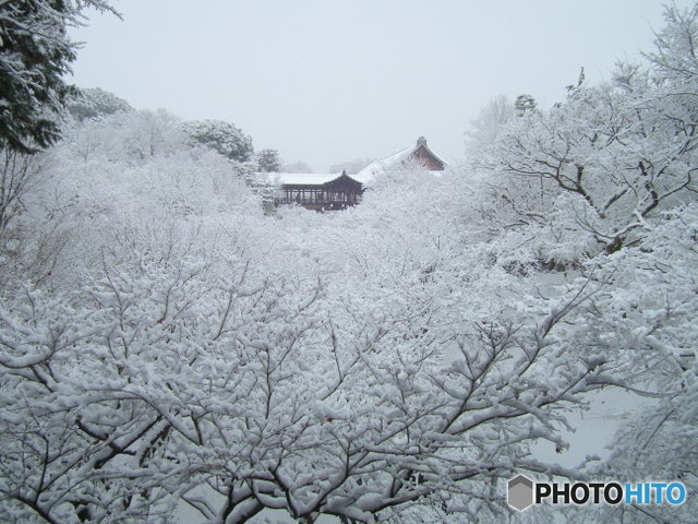 東福寺臥雲橋からの雪景色