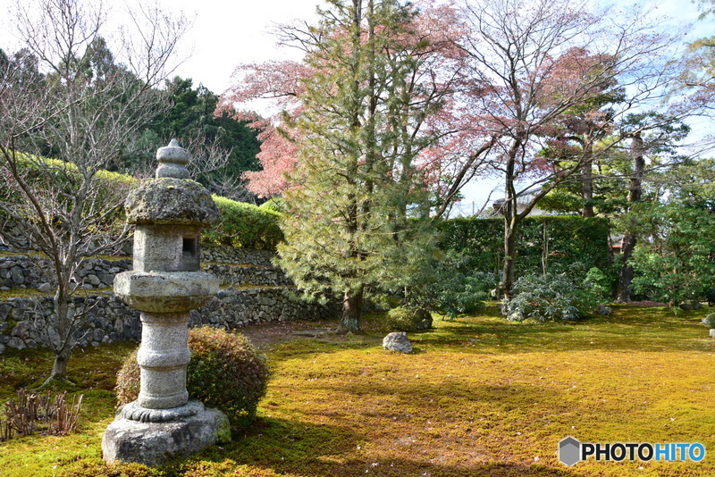 相国寺塔頭長得院方丈前庭