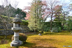 相国寺塔頭長得院方丈前庭