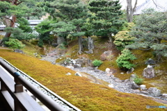 相国寺本坊　方丈裏庭