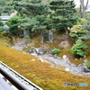 相国寺本坊　方丈裏庭