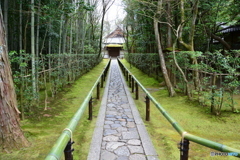 大徳寺高桐院