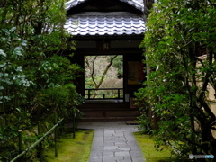 大徳寺高桐院