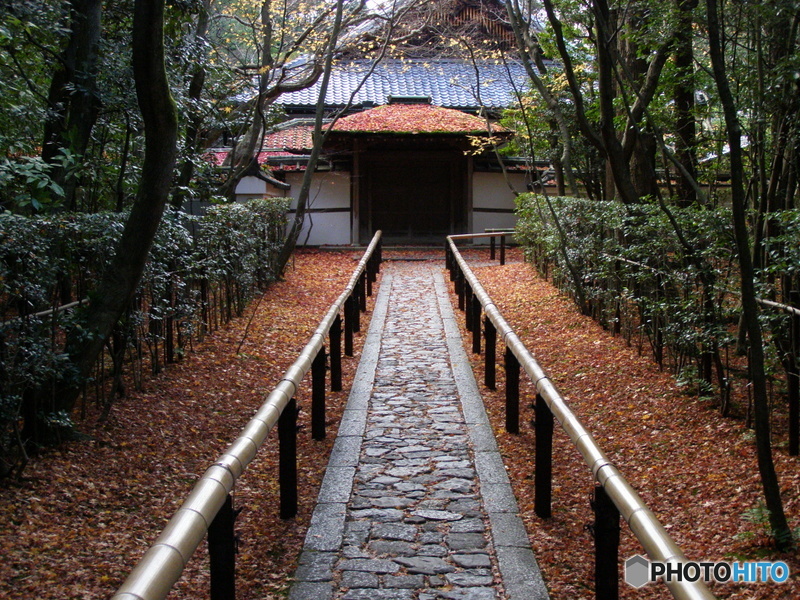 大徳寺高桐院