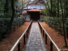 大徳寺高桐院