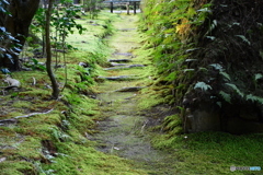 法然院　苔のみち