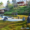 東福寺光明院　波心庭