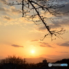 哲学の道からの夕日