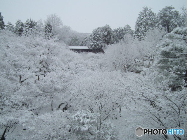 東福寺通天橋　洗玉澗の雪景色
