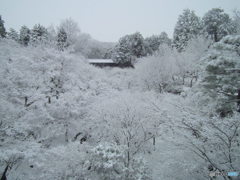東福寺通天橋　洗玉澗の雪景色