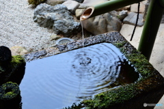 相国寺養源院　手水鉢波紋
