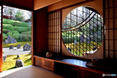 東福寺光明院12月の風景！2015年