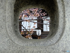 灯籠の中で・・・