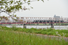 河川敷の風景