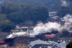 c5644と河津桜