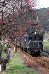 E101と梅