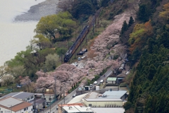 家山桜トンネルのC5644