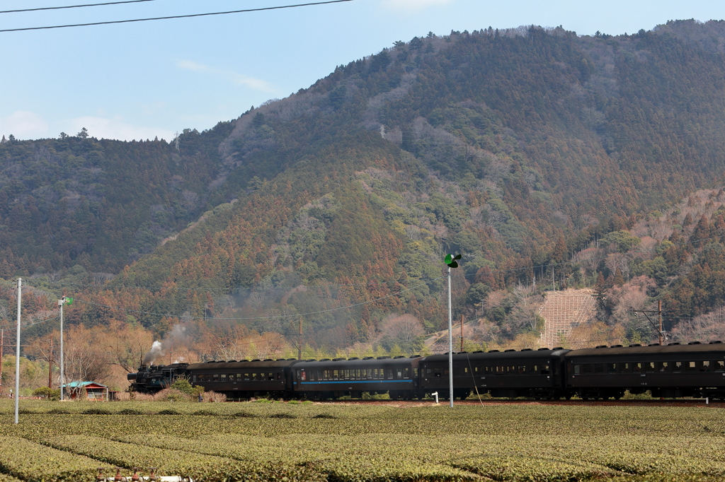 c111190が抜里駅へ