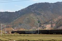 c111190が抜里駅へ