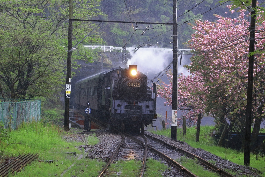 C11227  雨の下泉駅へ