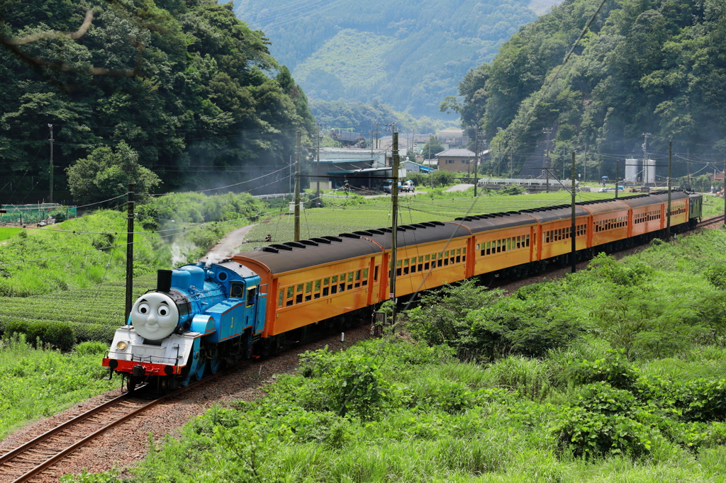 トーマスat福用お立ち台