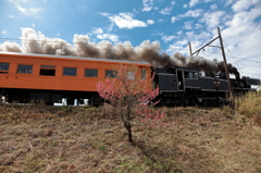 横岡築堤のC11190