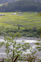 抜里築堤を行く元南海ズームカー