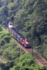大井川沿いを行くジェームズ号