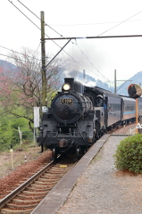 梅とC108