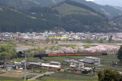 抜里グランドの桜とC108