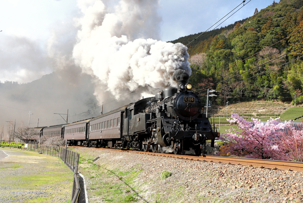 C10 8　川根温泉コッテージ通過