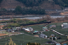 C11190 at抜里