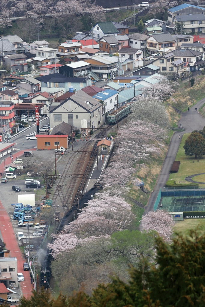 桜が見頃の家山駅発進のC5644