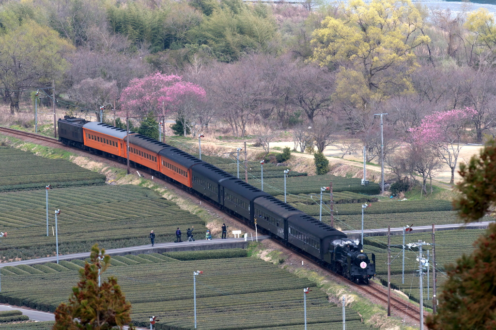 抜里お立ち台のC5644