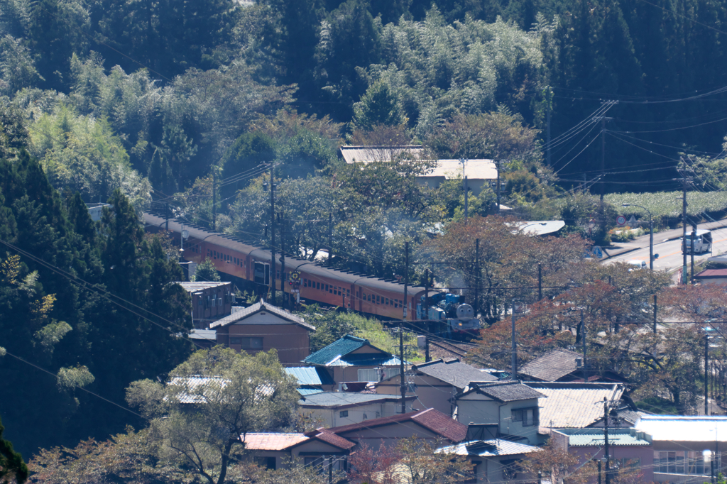 トーマスat徳山踏切