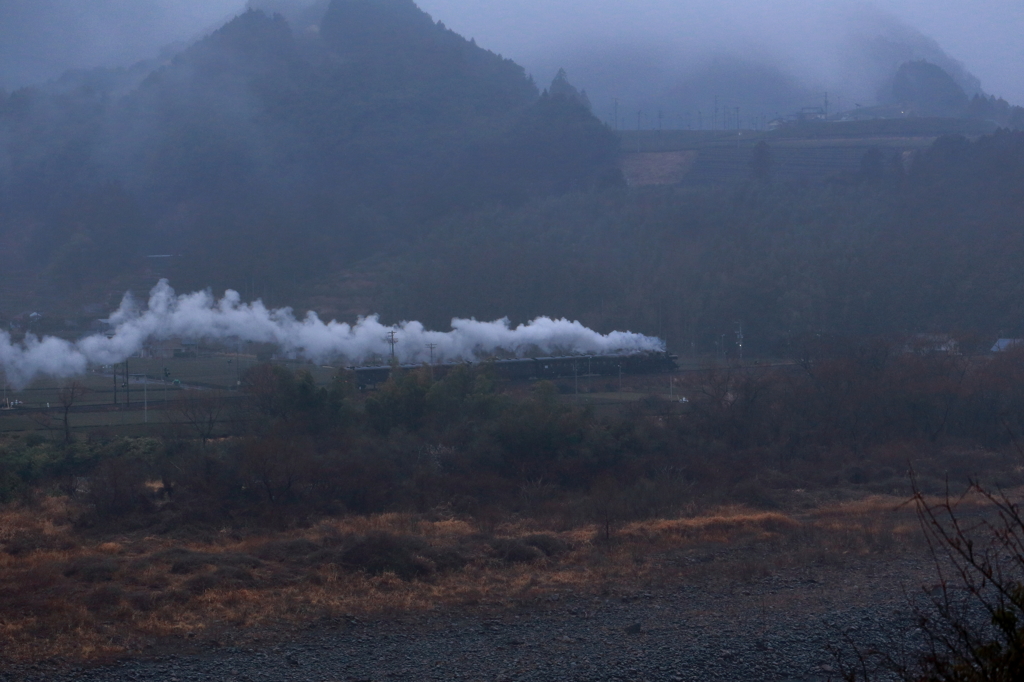 NightTrainⅡ