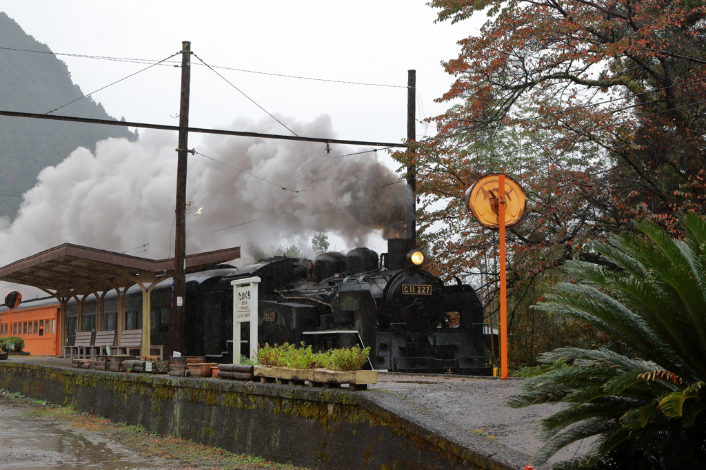 C11227 at 雨の田野口駅