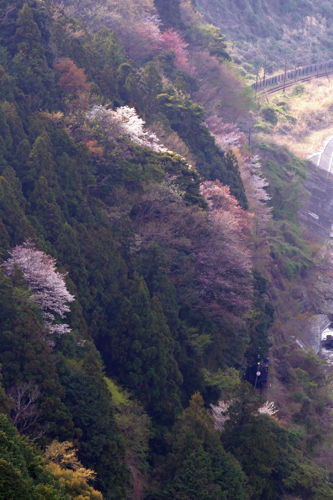 C108が地蔵峠トンネルへ
