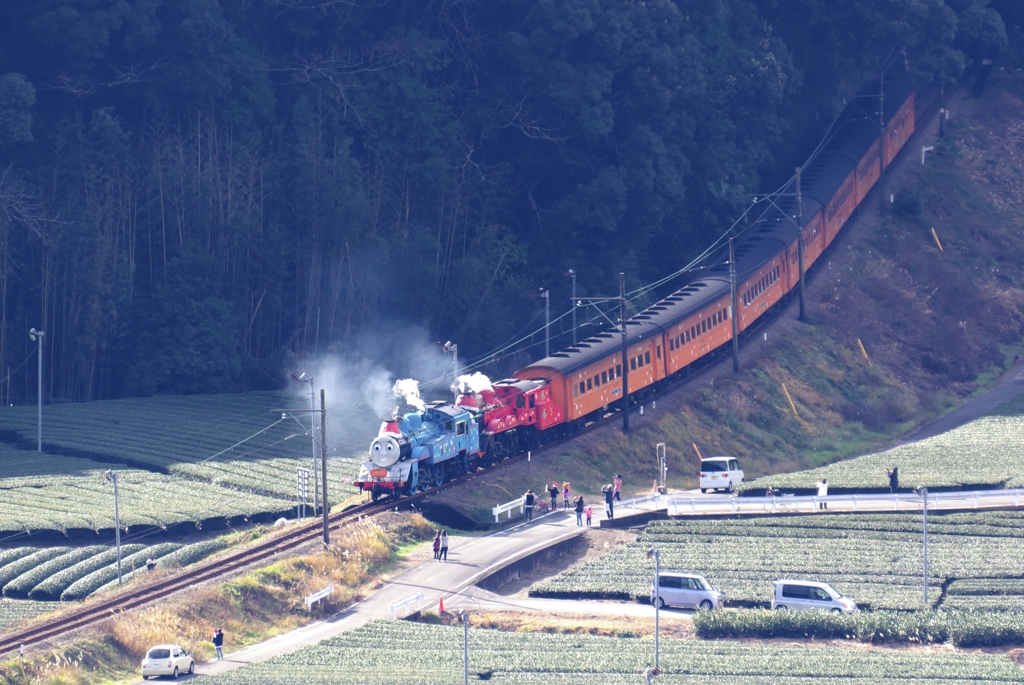 重連トーマス＆ジェームスat抜里